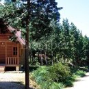 남해편백자연휴양림(남해) 이미지