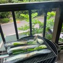 호명산 밸리 이미지