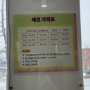수애견 이미지