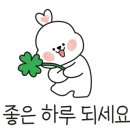 스몰펫하우스 네이버블로그