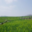 광신농장 이미지