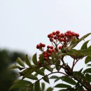 산일민박 티스토리