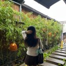 (주)풍림옥천지점 | 뚜벅뚜벅 내돈내산 경주여행 / 경주 가볼만한곳, 경주월드, 황리단길, 맛집, 아고다 숙소 취소 당함
