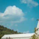 도도독A 이미지