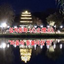 심지