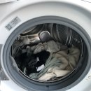 하얀세탁 이미지