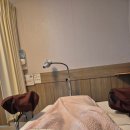 가연관악산부인과의원 이미지