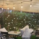 별밤나이트클럽 이미지