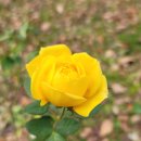 가재울근린공원 이미지