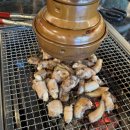 산꼼장어민물장어 이미지