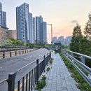 금빛초교 이미지