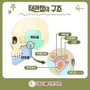 더하기빼기한의원 이미지