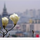 팔달공원