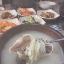 감곡1 | [충북 음성] 제일가든 감곡본점, 설렁탕 찐맛집 찾았다구요…🍲🔥