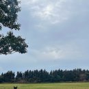 가주목장 이미지