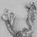 한라동물종합병원 이미지