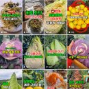 스타기획 | 알고리즘 릴스 기획 부터 전략까지 &#39;팁스타그램&#39; 강의 후기