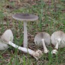 광대경로당 이미지