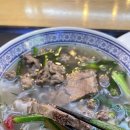 퍼틴 티스토리