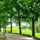 호수로50번길 이미지