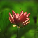 오늘참예쁘다(2) 이미지