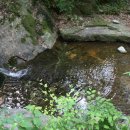 천안모두펜션 이미지