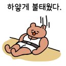 더블에스플라이 이미지