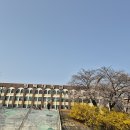 평택대학교 | 평택대학교 벚꽃축제 다녀온 후기