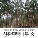 (주)가고파여행 이미지