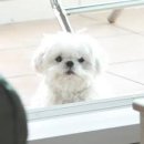 라이프커피로스터스
