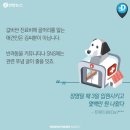 김동물병원 이미지