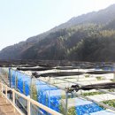 시냇물 농장 이미지