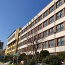 윤중중학교 이미지