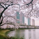 주식회사 문화상상