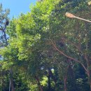 웅천못공원_앞 이미지