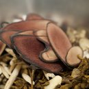 함께웃는한의원 이미지