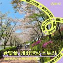 [블로그기자단] 서울 벚꽃 명소, 석촌호수 벚꽃 네버엔딩 스토리