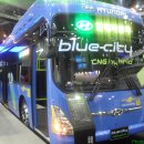 블루시티 이미지