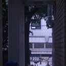 릴트리츠 | 릴 트리츠