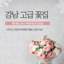 조엘르 이미지