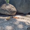 봉양로-2 이미지