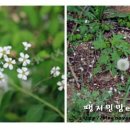 흥원목장 네이버블로그
