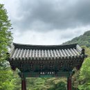해인사관광안내소 | [합천] 합천여행 해인사 근처 내돈내산 산채정식 식당 추천 &#39;고바우식당&#39;