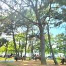 소죽도공원 | [경남] 창원 진해 피크닉 추천 소죽도공원