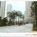 대연힐스테이트공인중개사사무소 이미지