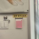 호명동물병원 이미지