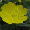 아림농장 이미지