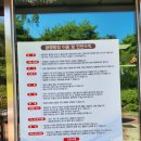 [파주 글램핑 카라반] 파주 가볼 만한 곳, 동화힐링캠프 글램핑 후기. 내돈내산