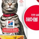 배부른 고양이