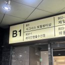 [반포] 고속터미널역네일 원베일리네일 봄네일후기 : 시그너스네일 반포점